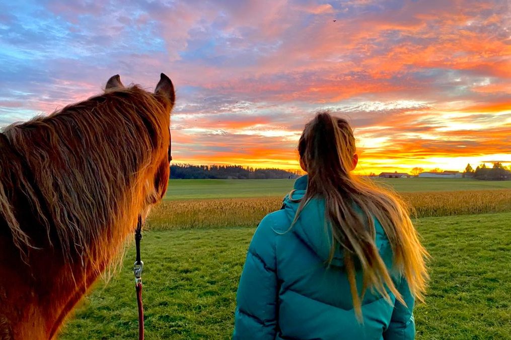 Mensch und Pferd im Sonnenaufgang