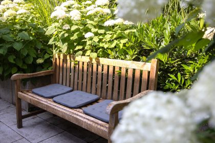 Holzbank mit Sitzkissen und im Hintergrund grüne Pflanzen